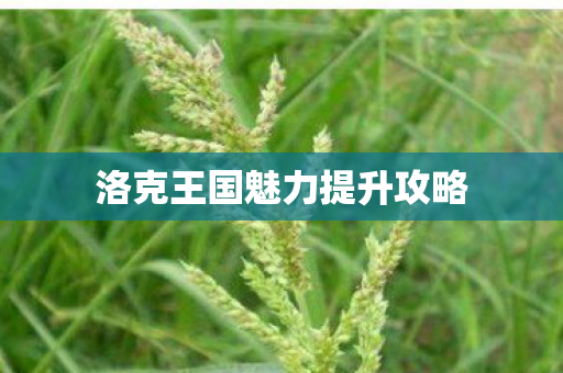 洛克王国魅力提升攻略图片