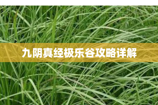九阴真经极乐谷攻略详解图片