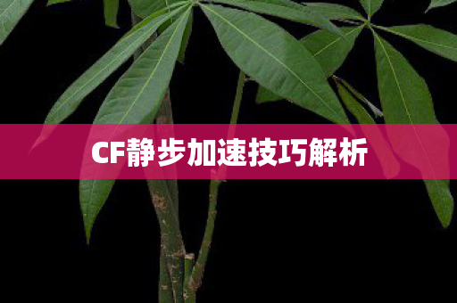 CF静步加速技巧解析图片