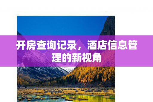 酒店信息管理的新视角图片