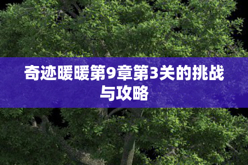 奇迹暖暖第9章第3关的挑战与攻略图片