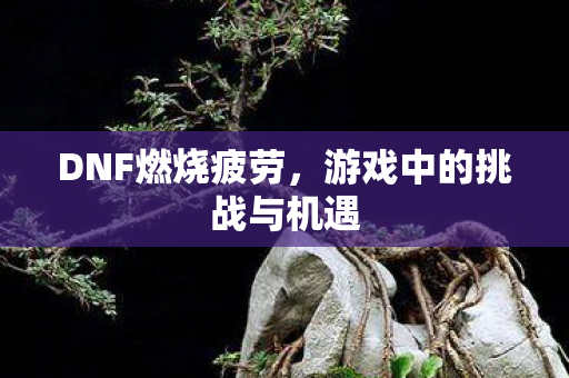 游戏中的挑战与机遇图片