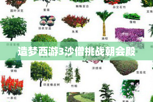造梦西游3沙僧挑战朝会殿图片