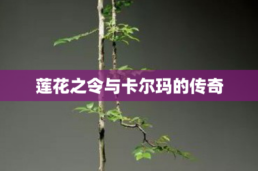 莲花之令与卡尔玛的传奇图片