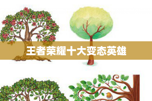 王者荣耀十大变态英雄图片