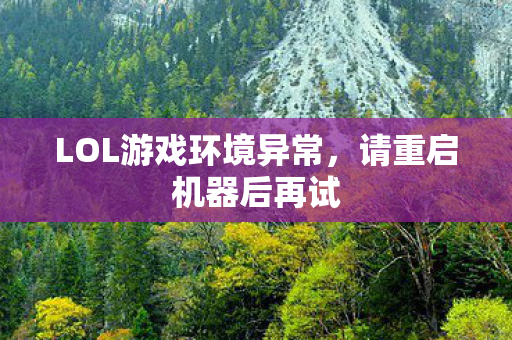 LOL游戏环境异常图片