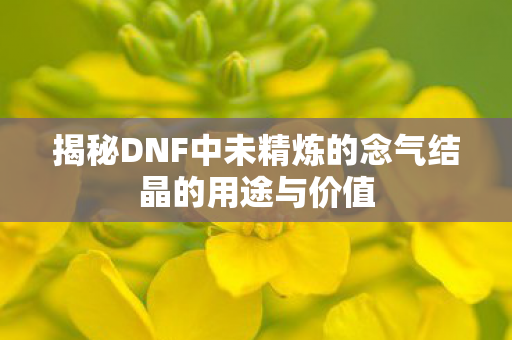 揭秘DNF中未精炼的念气结晶的用途与价值图片
