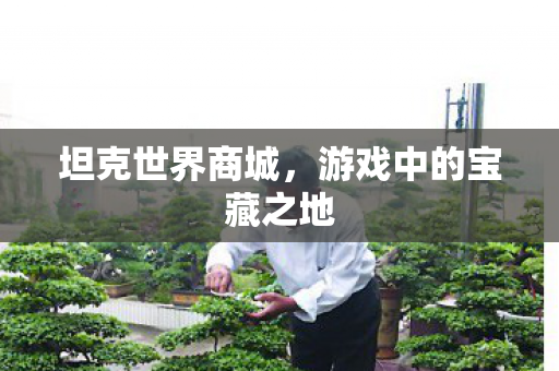 游戏中的宝藏之地图片
