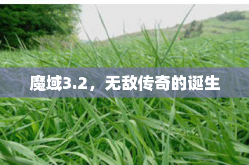 无敌传奇的诞生图片