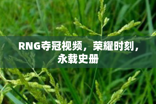 RNG夺冠视频图片