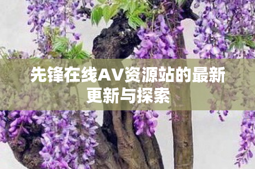 先锋在线AV资源站的最新更新与探索图片