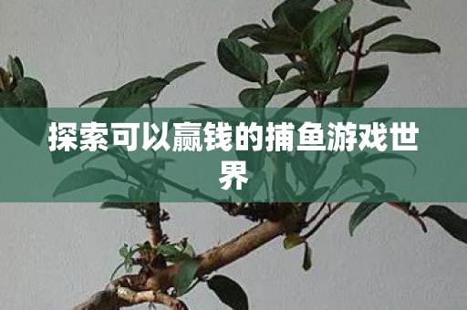 探索可以赢钱的捕鱼游戏世界图片