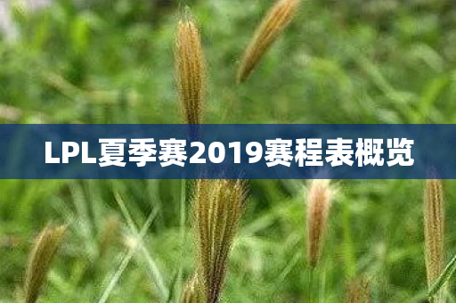 LPL夏季赛2019赛程表概览图片