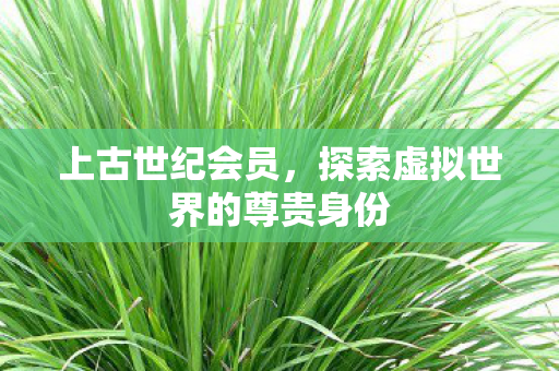 探索虚拟世界的尊贵身份图片