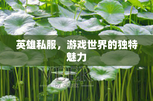 游戏世界的独特魅力图片