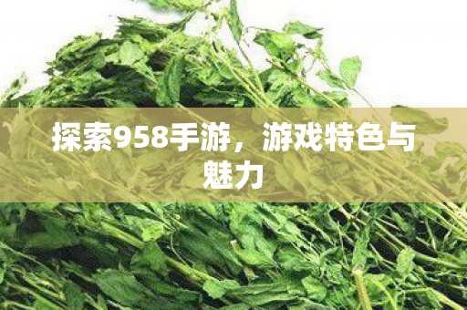 探索958手游图片