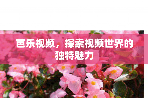探索视频世界的独特魅力图片