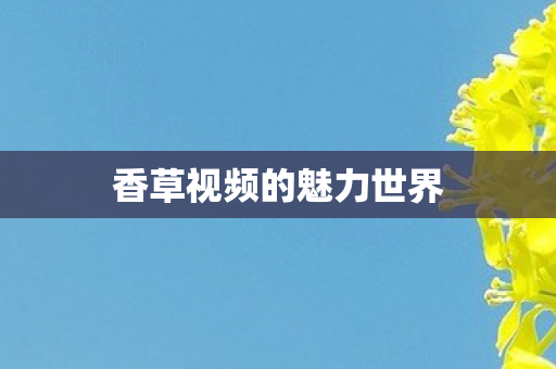 香草视频的魅力世界图片