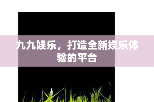 打造全新娱乐体验的平台图片