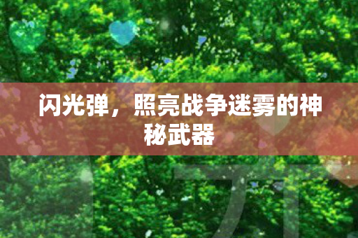 照亮战争迷雾的神秘武器图片