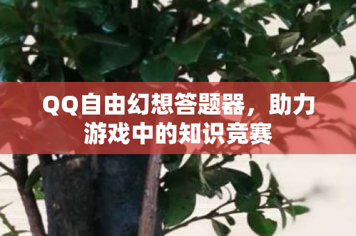 助力游戏中的知识竞赛图片