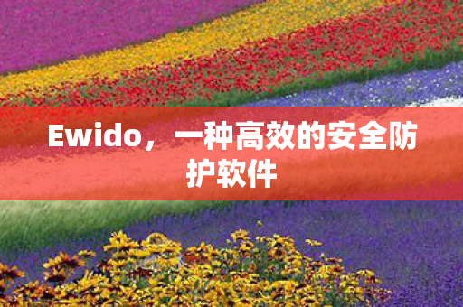 一种高效的安全防护软件图片