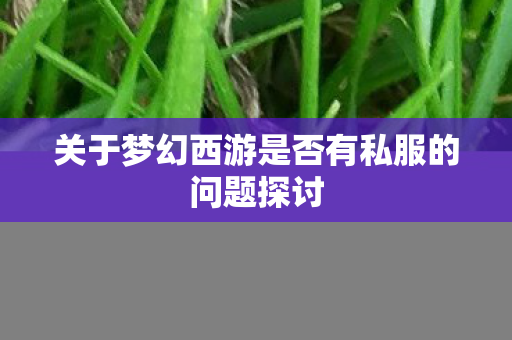 关于梦幻西游是否有私服的问题探讨图片