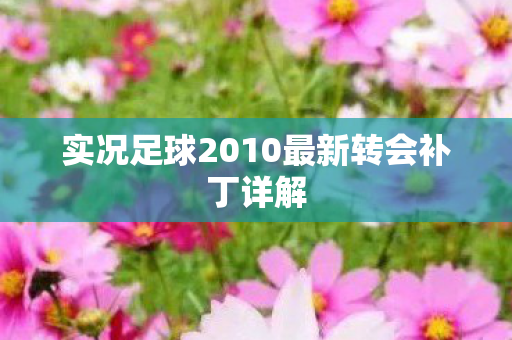 实况足球2010最新转会补丁详解图片