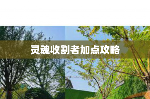 灵魂收割者加点攻略图片