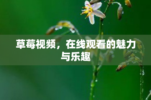 在线观看的魅力与乐趣图片