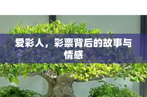 彩票背后的故事与情感图片
