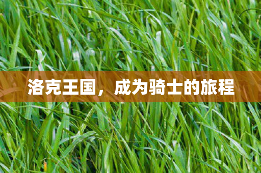 成为骑士的旅程图片