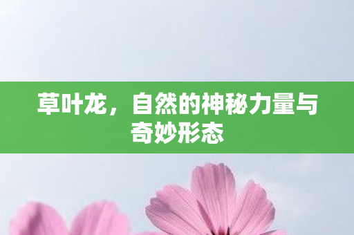 自然的神秘力量与奇妙形态图片
