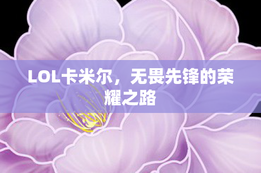 无畏先锋的荣耀之路图片