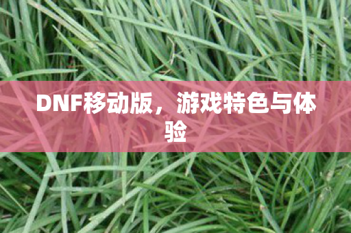游戏特色与体验图片