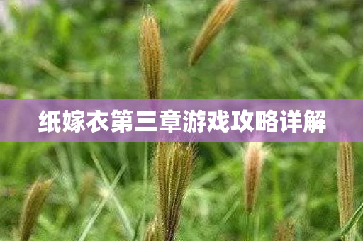 纸嫁衣第三章游戏攻略详解图片