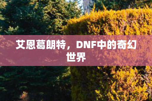 DNF中的奇幻世界图片