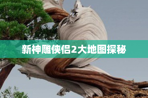新神雕侠侣2大地图探秘图片