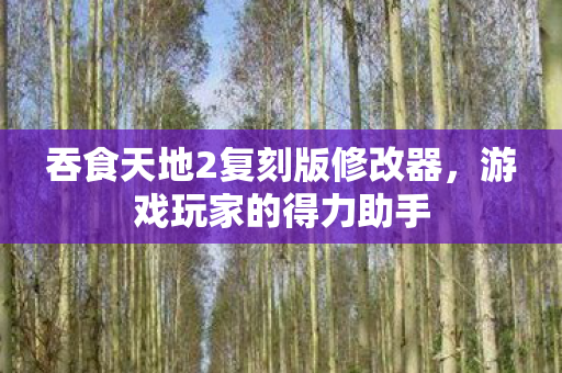吞食天地2复刻版修改器,游戏玩家的得力助手 吞食天地2复刻版修改器,游戏玩家的得力助手