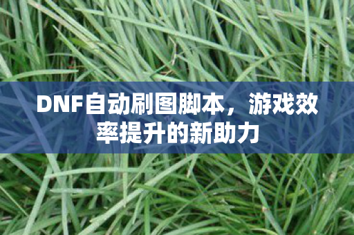 DNF自动刷图脚本,游戏效率提升的新助力 DNF自动刷图脚本,游戏效率提升的新助力