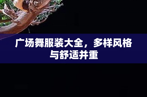 广场舞服装大全,多样风格与舒适并重 广场舞服装大全,多样风格与舒适并重
