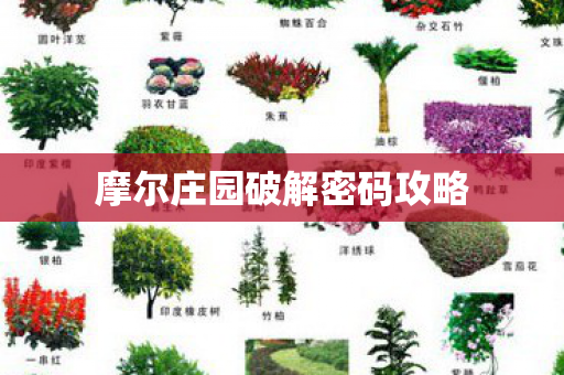 摩尔庄园破解密码攻略图片