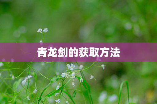 青龙剑的获取方法图片