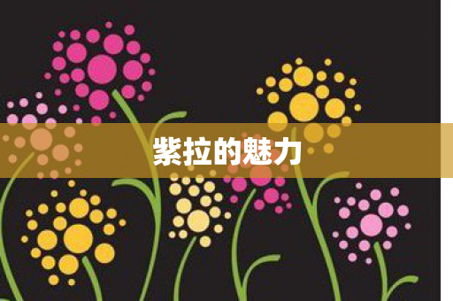 紫拉的魅力图片