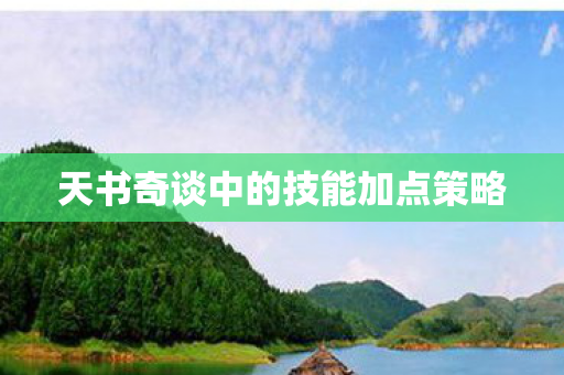 天书奇谈中的技能加点策略图片