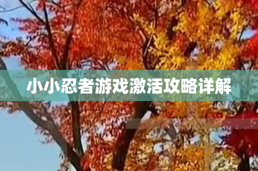 小小忍者游戏激活攻略详解 小小忍者游戏激活攻略详解