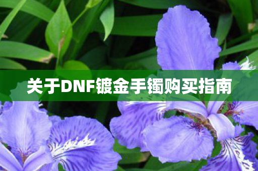 关于DNF镀金手镯购买指南图片