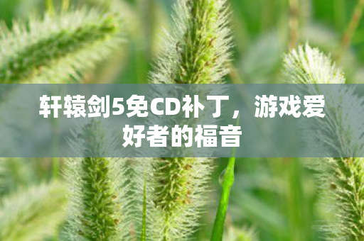 轩辕剑5免CD补丁图片
