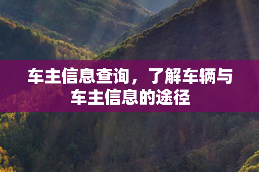 了解车辆与车主信息的途径图片