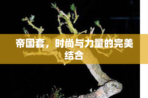 时尚与力量的完美结合图片